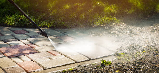 Best Rust Removal  in Harbor Bluffs, FL
